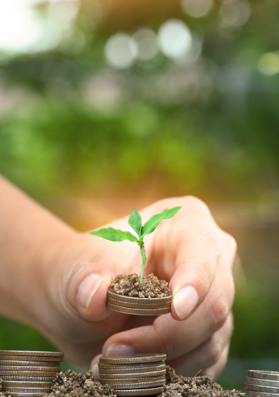 IberBridge's Services - Distribution Strategy