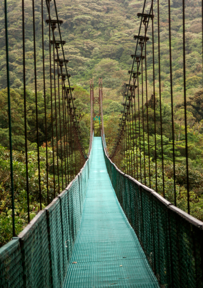 IberBridge's Services - Market Access